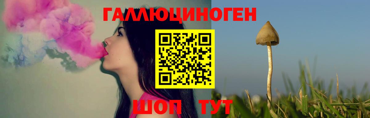Псилоцибиновые грибы Psilocybine cubensis  Вход с VPN  наркота  Бугуруслан 